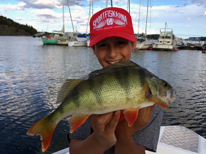 Välkommen på öppet drop in-fiske vid Vårby strand!