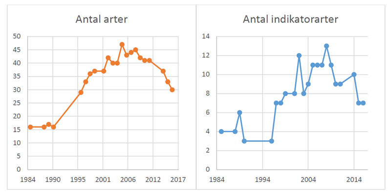 Vattendrag i Jämtlands län återförsuras