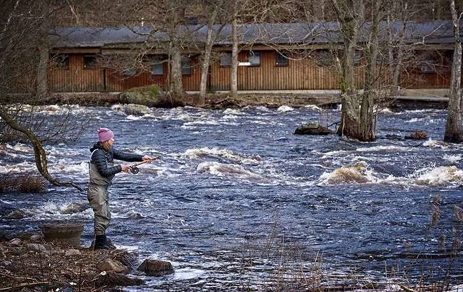 Ledig tjänst vid Mörrums Kronolaxfiske