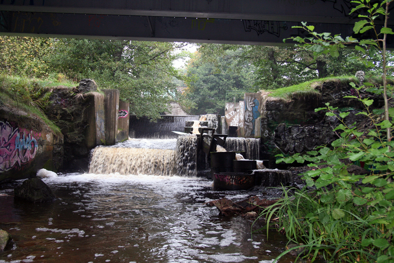 Ny rapport om restaurering av vattendrag med dammar