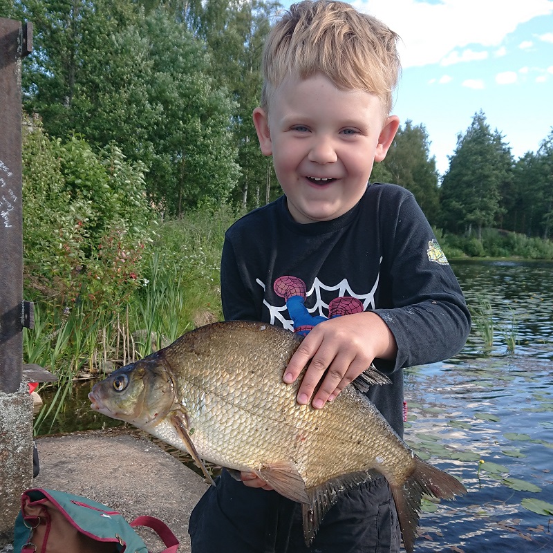 Fångsterna i juni!