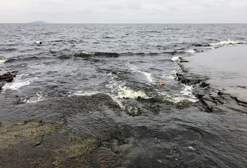 Sportfiskarna vill få utökade fredningsområden på Öland