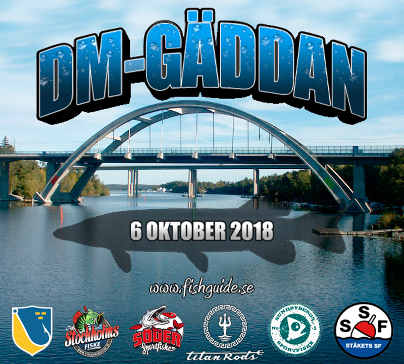 DM i GÄDDA – Stockholm 6 oktober