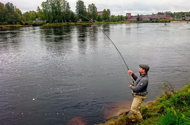 Förlängt laxfiske i Forshagaforsen