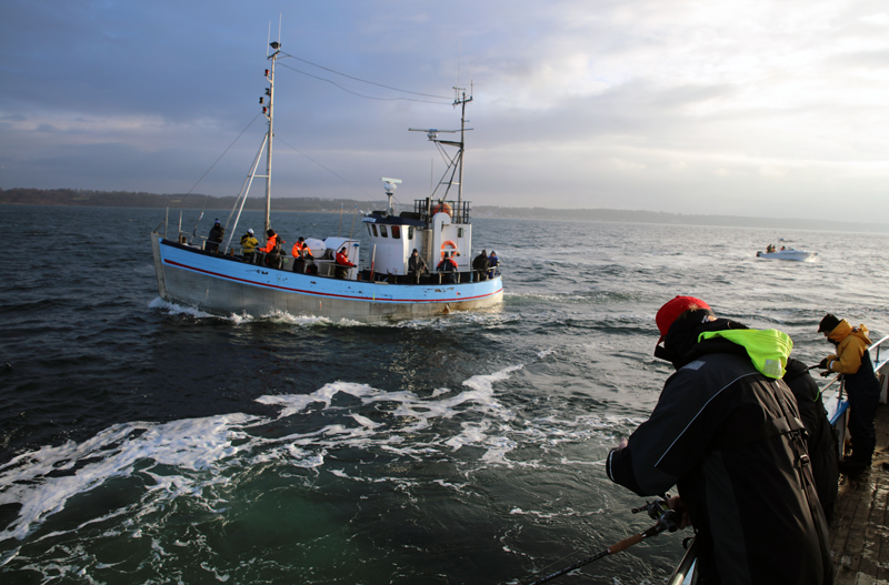 Fiskeforum ska lyfta sportfiskets olika frågor