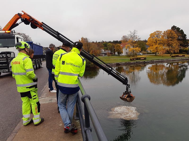 Jubileumsfonden stöttar fiskevård: Vätterharr återfår lekplats i Motala ström