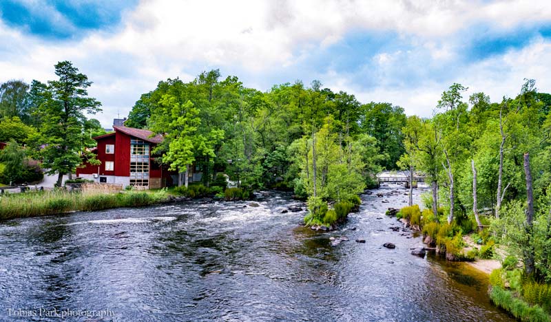 Välkommen på uppstart av restaureringsprojektet LIFE CONNECTS i Mörrum