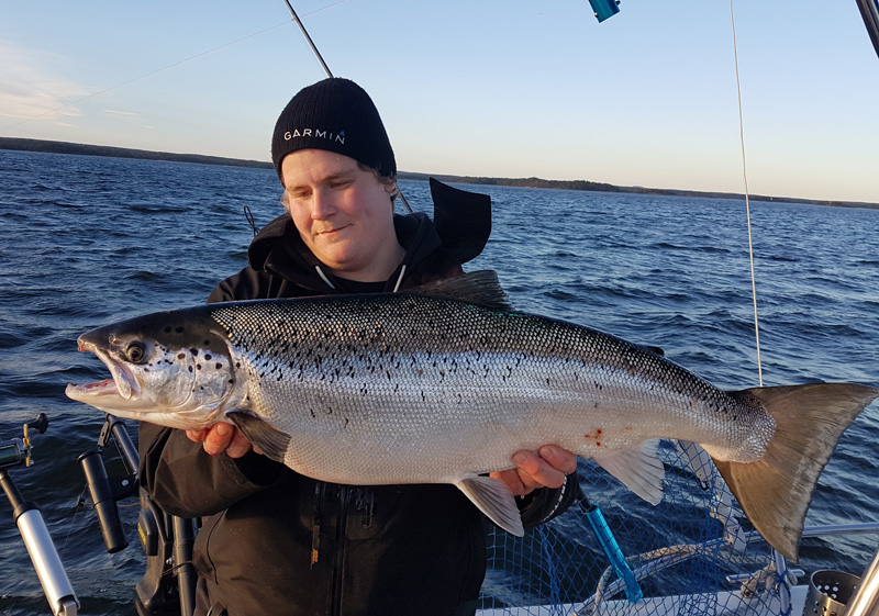 Fångstrapporteringen från sportfisket i Vänern ökar