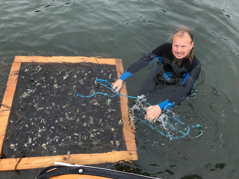 Projekt för blåmussla uppmärksammades i TV