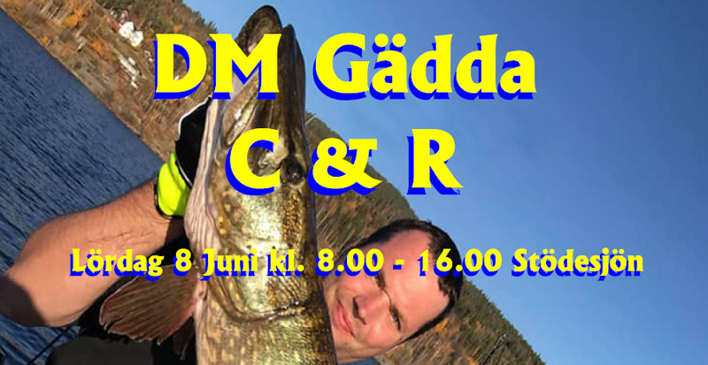 DM i Gädda i Västernorrland 8 juni