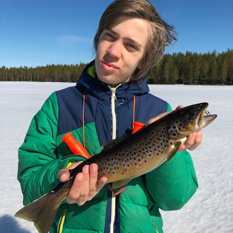 ice_trout_800