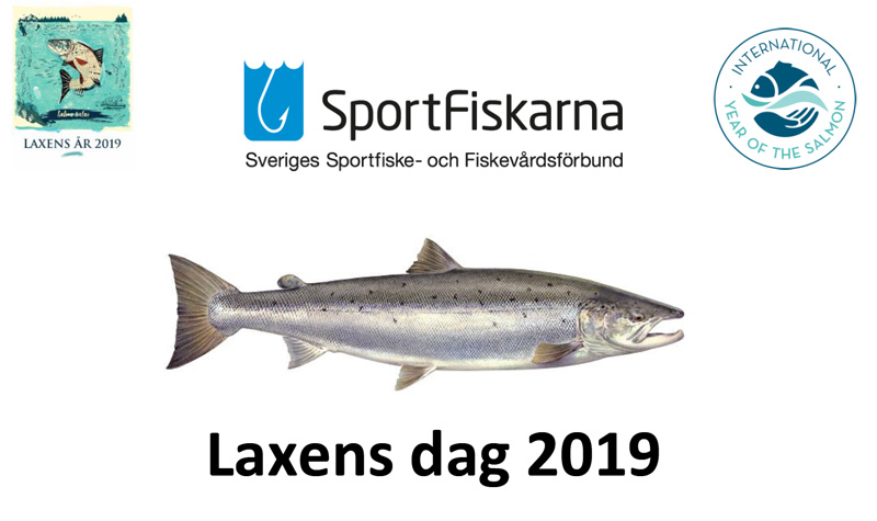 laxens_dag_forshaga_...