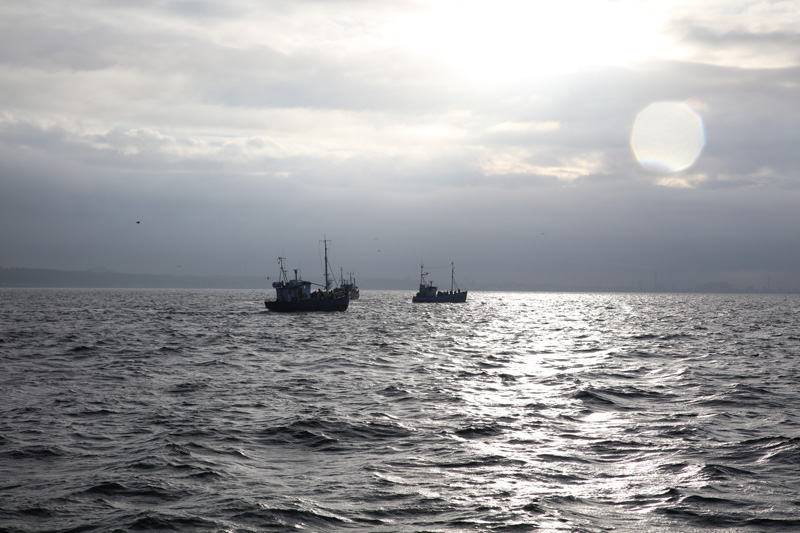 Rösta för fisken i EU-valet 26 maj