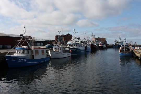 ICES rekommenderar fiskestopp för torsken i östra Östersjön