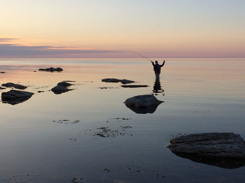 fiskeland_gotland-80...