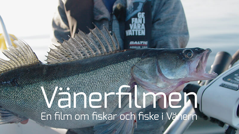 Hela Vänerfilmen på Sportfiskarnas Youtube