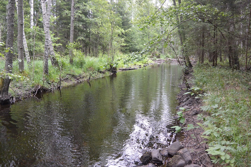 Svennevadsån800pixfo...