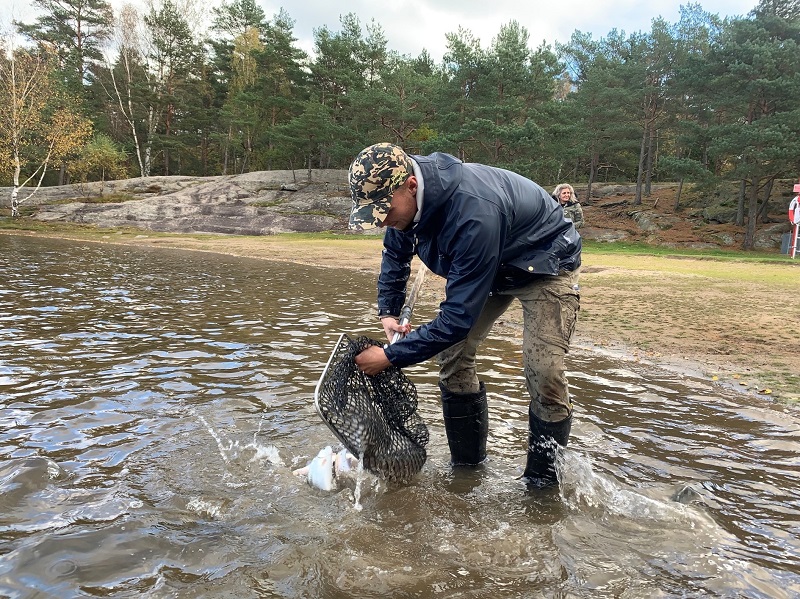 Stora fiskutsättningar i Sportfiskarnas Göteborgsvatten inför höstlovet