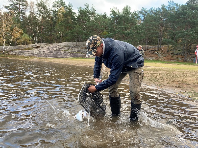 Fiskutsättning1fotoM...