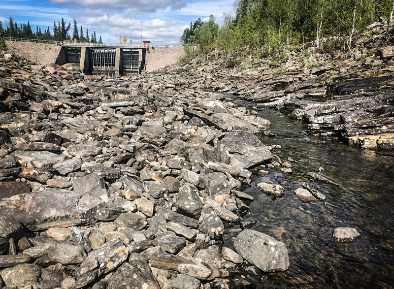 Upprop för rödingen i Jormvattnet i Jämtland