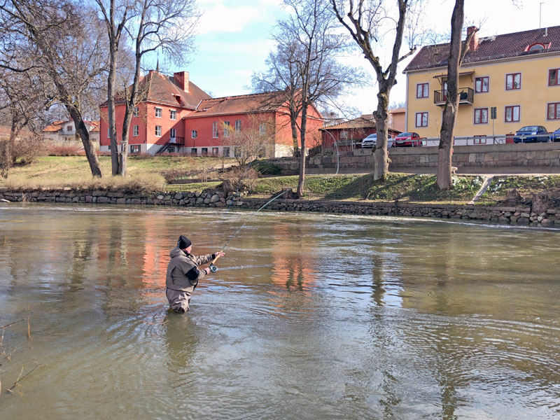 Fisketips: snart premiär för öringfisket i Nyköpingsån