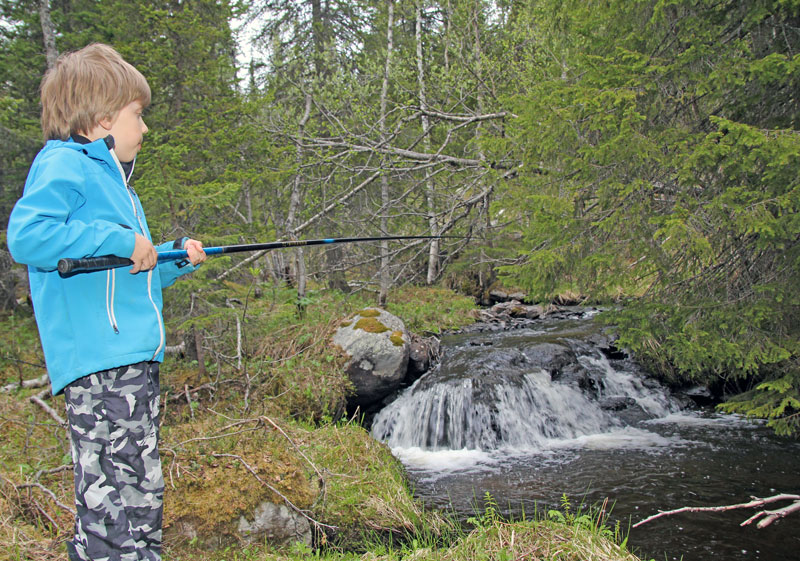 saagbacken-skarvange...