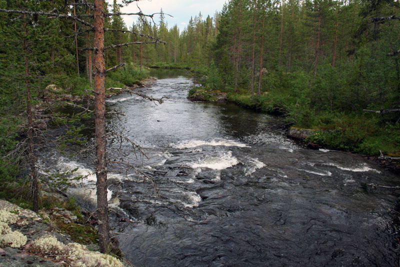 Många frågor inför den kommande nationella kalkplanen