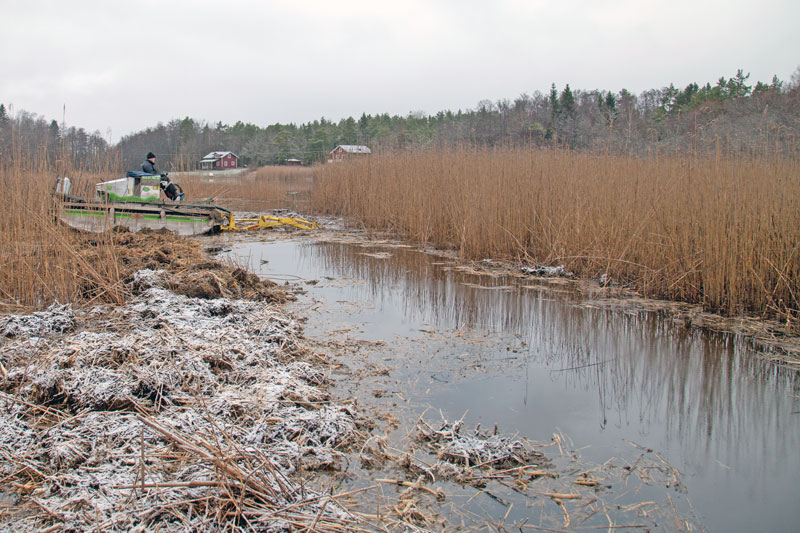 Fria vandringsvägar till Bergbofjärden