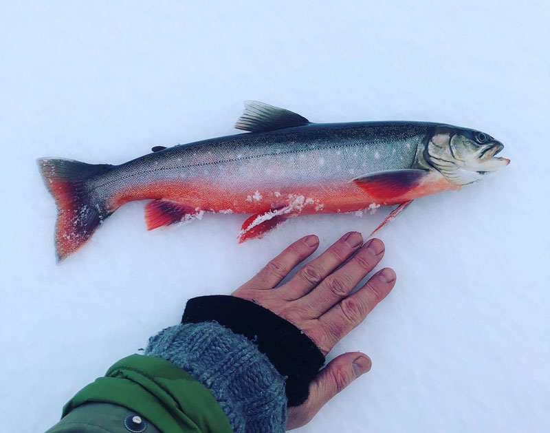 Ta det försiktigt på isen i vinter