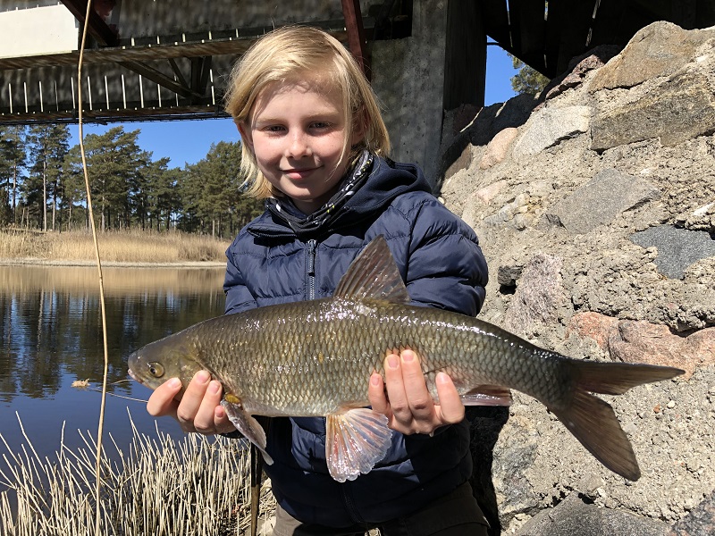 Sportlovsfiske på Gotland