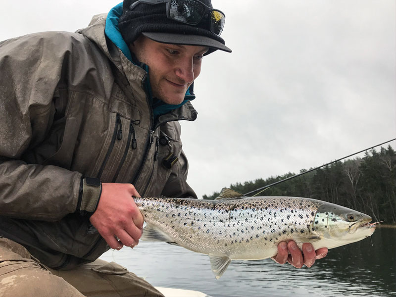 Fisketips: våröring med Marcus Zetterblad