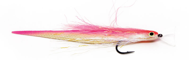 crazy-baitfish-800
