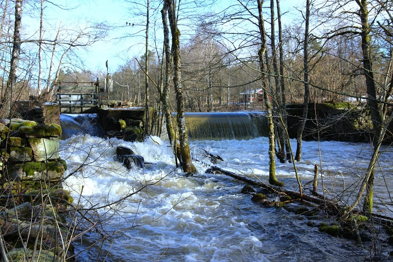 Mjörnöringen ska få fria vandringsvägar i Ålanda ström