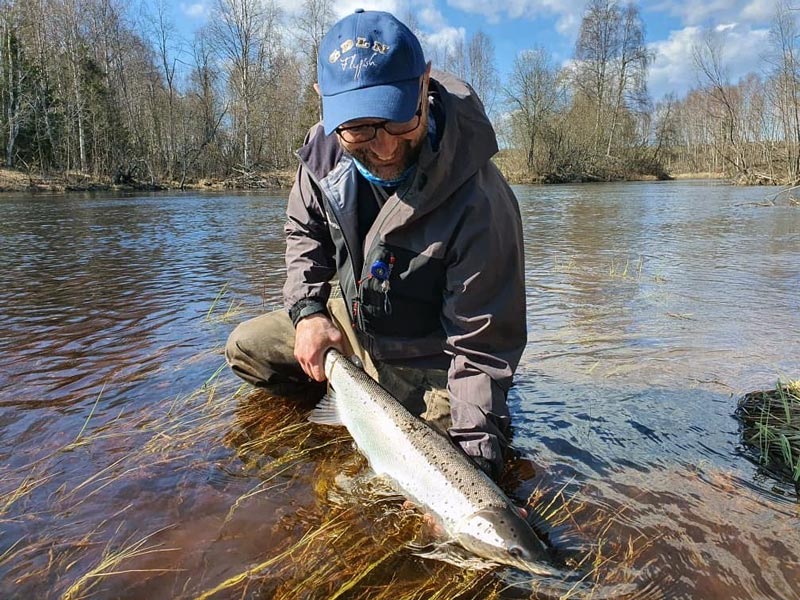 Projekt SalmonSustainable - nytt laxprojekt i norr