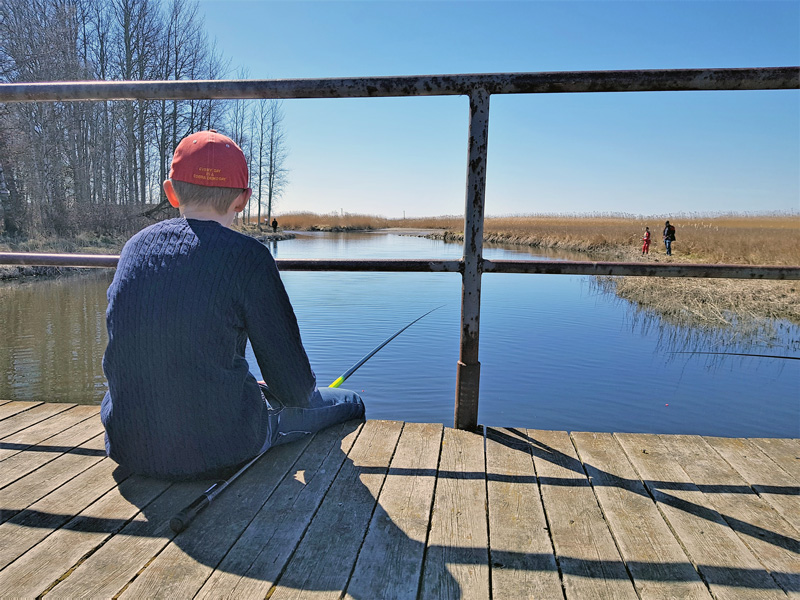 Välkomna på sommarfiske med Sportfiskarna på Gotland