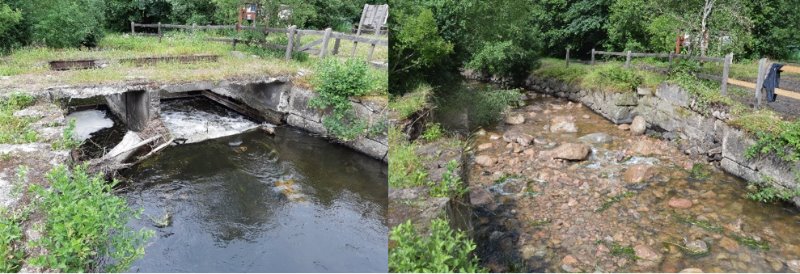 Mer biotopvård utförd i Rönne å