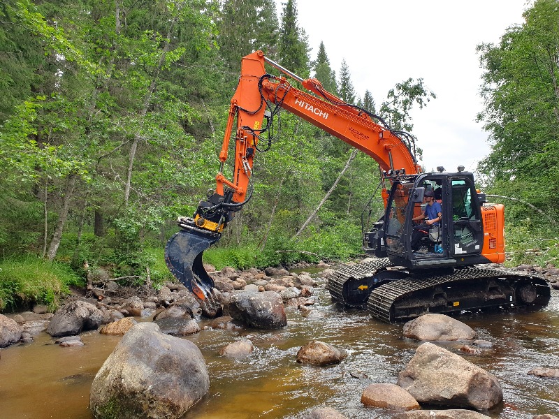 Ny fiskevård i Västernorrland: restaurering i Mjällån ska ge mer öring