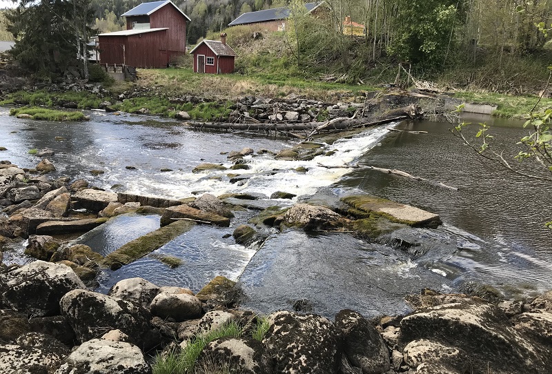 Sportfiskarna projekterar dammutrivning i Örekilsälven