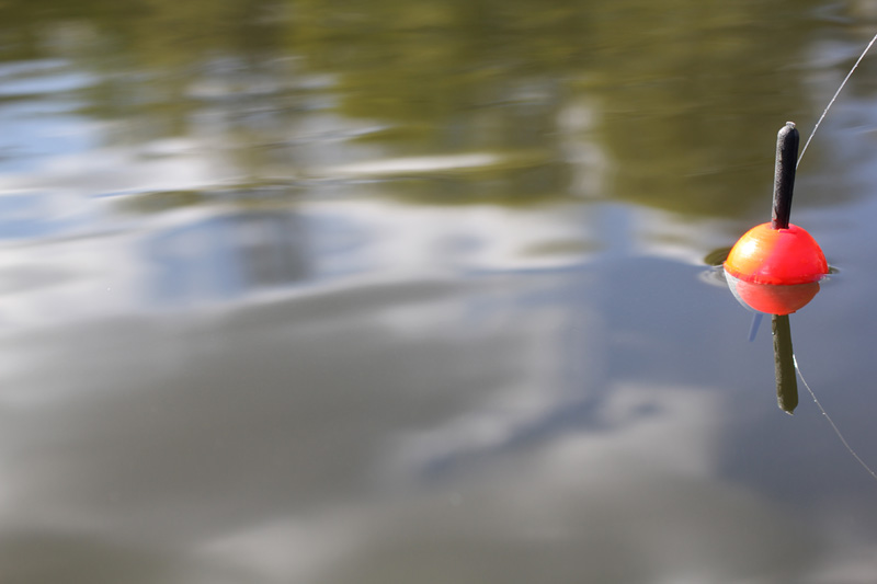 Välkomna att prova på fiske under påsklovet i Region Mitt