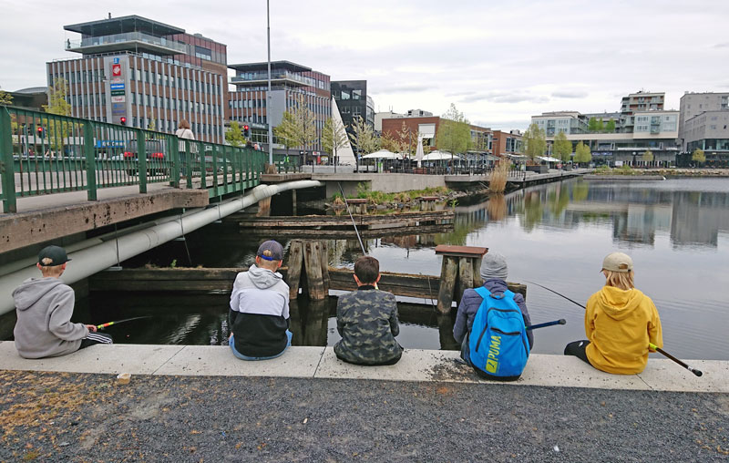 Streetfiske i Jönköping