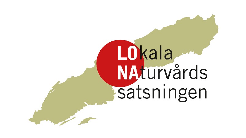lona-800