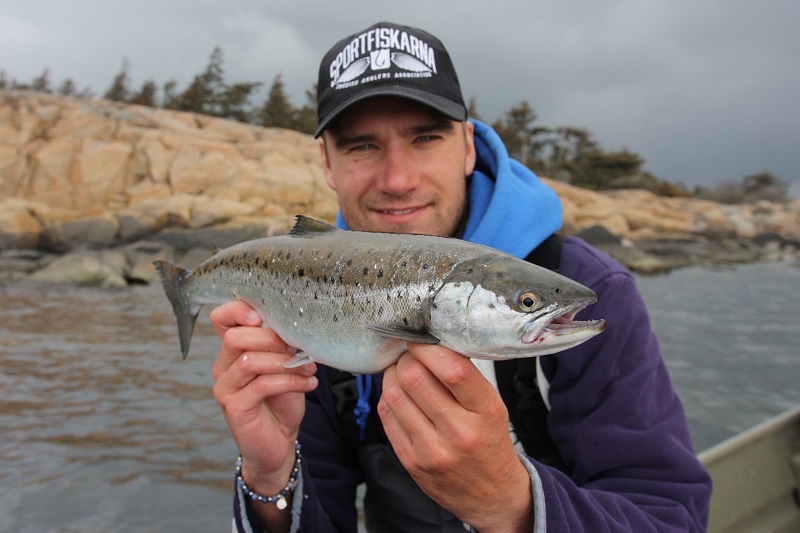 Förtydligande angående fiske efter lax och havsöring i Göta och Nordre älv