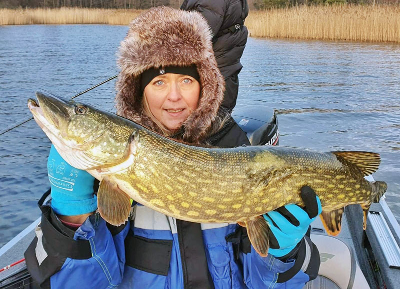 Ny succé för nyårsgäddan