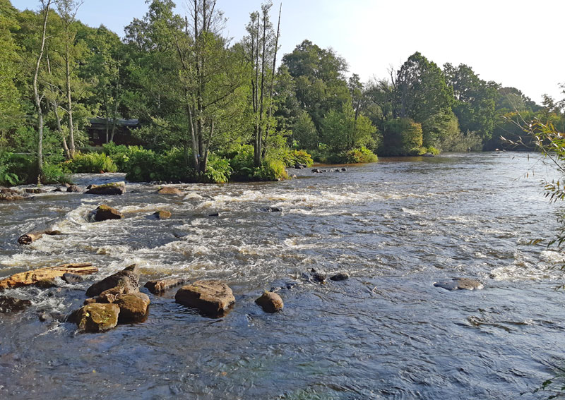 Sportfiskarna Region Syd anlitar Mörrum Kronolaxfiske för restaurering av Mörrumsån inom LIFE CONNECTS