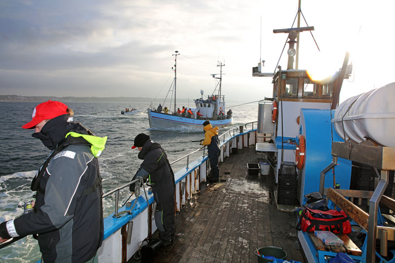 torskfiske-oresund-n...