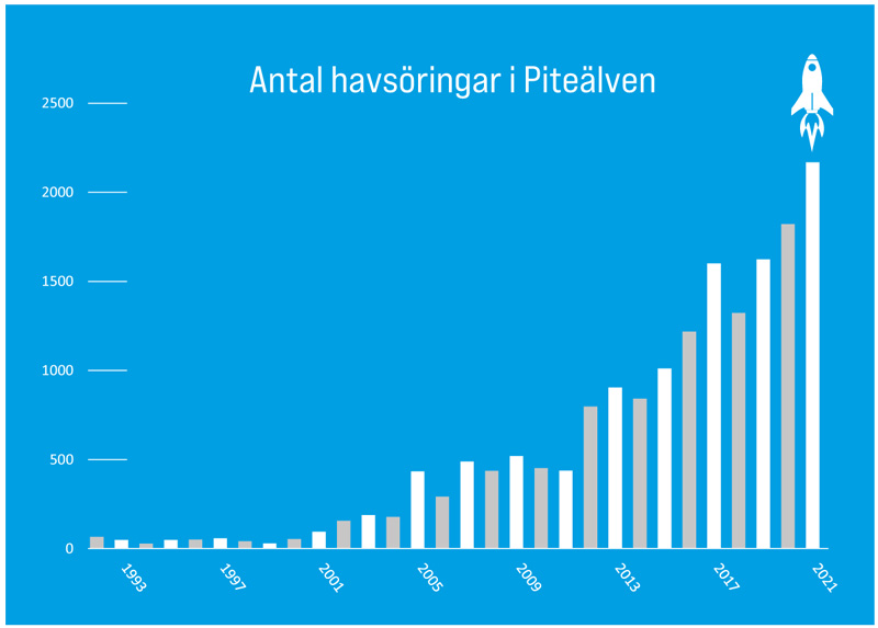 antal_havsoringar_pi...