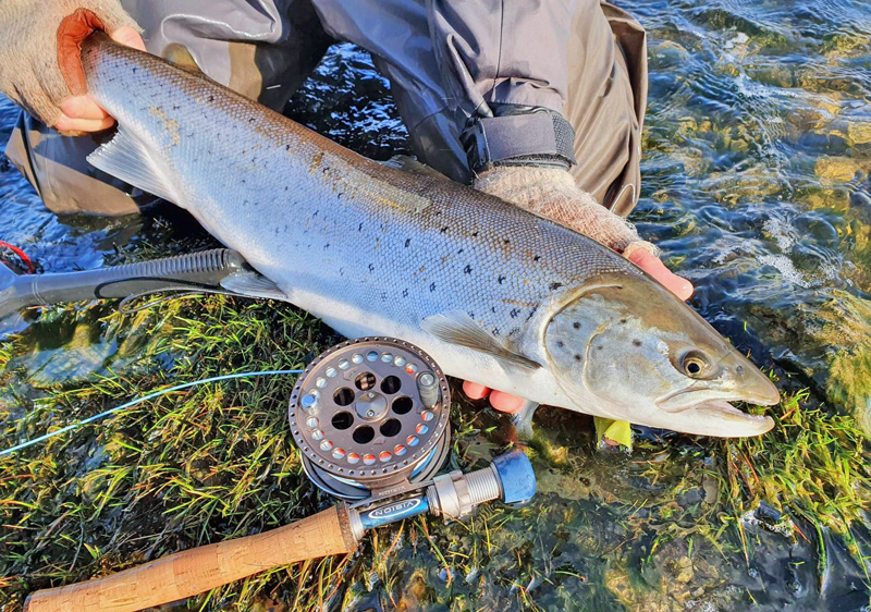 Hjälp till att utveckla sportfisket på Gotland: fyll i vår enkät