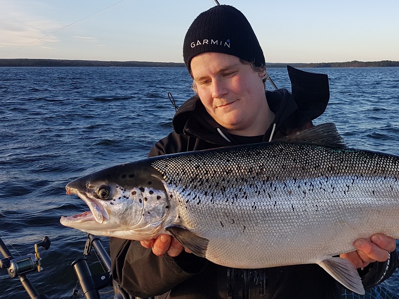 Sportfiskets värde i Vänern – start av pilotundersökning