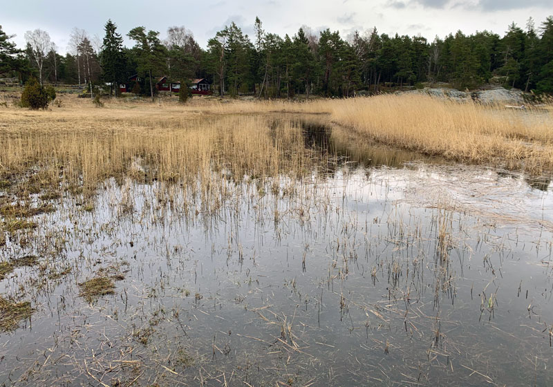 Pedagogisk fiskevård förbättrade för kustgäddan