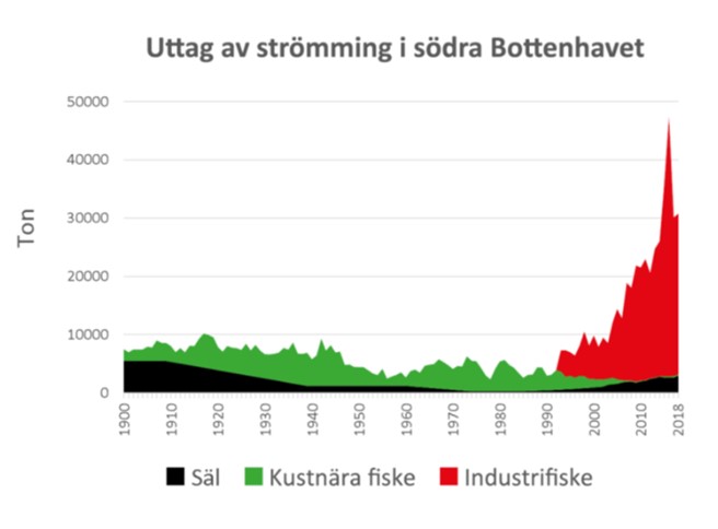 strömming1